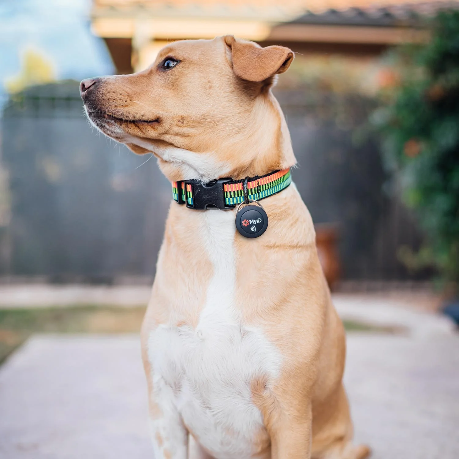 MyID Tag Medical ID - Image 5