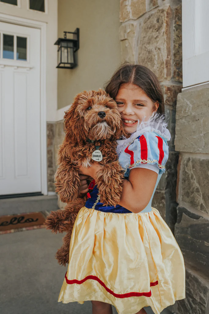 PetID Tag Black - Image 4