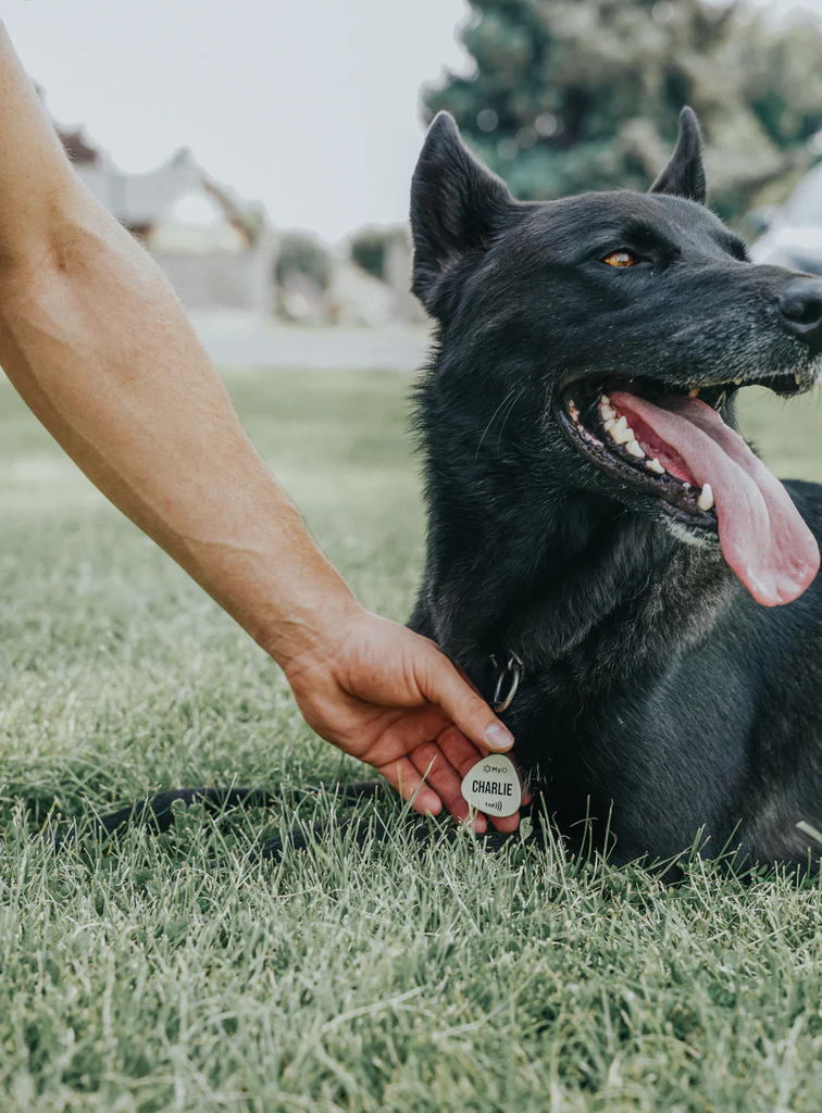 PetID Tag Black - Image 5